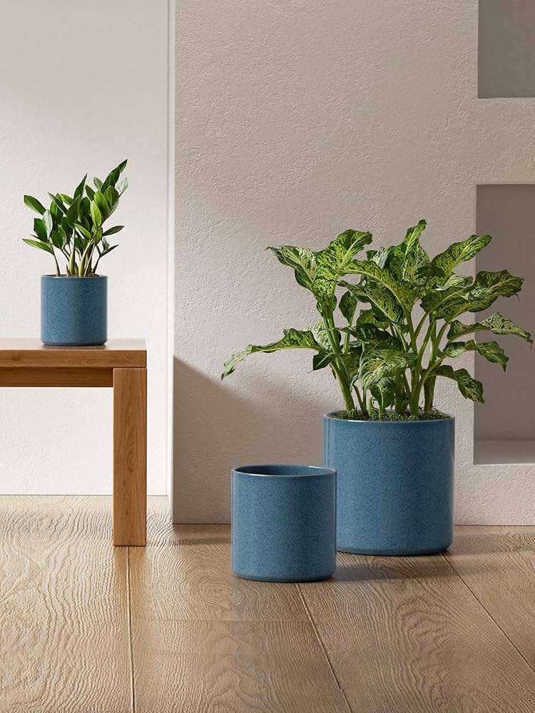 Amazon.com : LE TAUCI Ceramic Plant Pots Indoor, 10+8+6 Inch